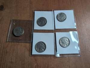 lot 1009 image: Buffalo Nickles - Lot of 5 ct