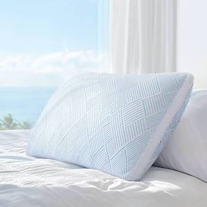 lot 808 image: Lyralith Shredded Memory Foam Cooling Bamboo Pillow Queen