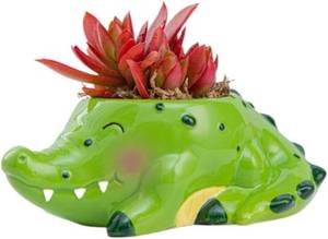 lot 836 image: Ceremics Animals Succulent Pot Whale Panda PlanterBonsai Pot