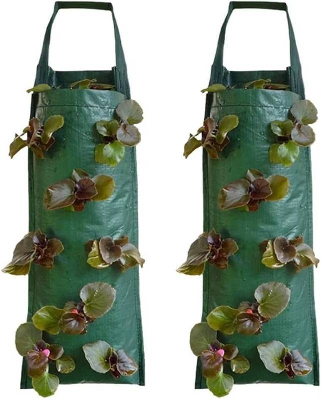 lot 86583 image: 2 PACK 3-Gallon Strawberry Grow Bags Green Grow Sacks