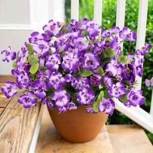lot 2332 image: Fake Hibiscus Artificial Flowers for Outdoors Spring Summer Decoration, 6 Bundles Silk Purple Hibiscus Flowers Bouquet UV Resistant Look Real Faux Plants for Outside Planter Front Door Porch Balcony