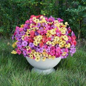 lot 2393 image: 24 Bundles Artificial Flowers for Outdoor Faux Plants for Spring Summer Decoration, UV Resistant Realistic Silk Plastic Fake Flowers Garden Porch Patio Balcony Yard Front Home Decor