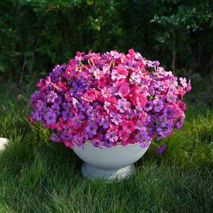 lot 3014 image: 24 Bundles Artificial Flowers for Outdoor Faux Plants for Spring Summer Decoration, UV Resistant Realistic Silk Plastic Fake Flowers Garden Porch Patio Balcony Yard Front Home Decor