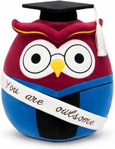 lot 2986 image: 2026 Graduation Owl Plush Gift  You are Owl-Some Motivational Stuffed Animal with Cap & Gown Decorations 11