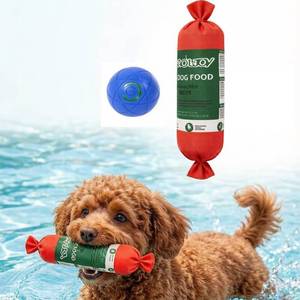 lot 3219 image: Dog Water Toy Fetch Toys for Dogs Swim Toys for Pool Beach with Electric Ball USB Rechargeable Teeth Cleaning Anxiety Relief Puppy Training for Small Medium Large Dogs Cats Red Green