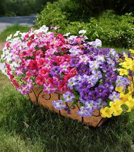 lot 3313 image: Artificial Flowers for Outdoors Fake Plants Outside Decoration, 20 Bundles Silk Petunia with Eucalyptus UV Resistant Realistic Faux Flowers for Outdoor Planters Garden Balcony Yard Porch Patio, Mix