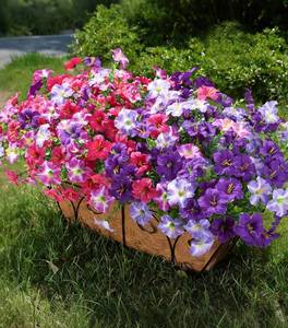 lot 3496 image: Artificial Flowers for Outdoors Fake Plants Outside Decoration, 20 Bundles Silk Petunia with Eucalyptus UV Resistant Realistic Faux Flowers for Outdoor Planters Garden Balcony Yard Porch Patio, Mix