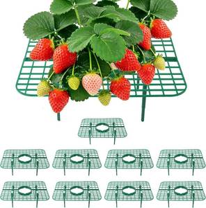 lot 3516 image: Strawberry Plant Support, 10 Pack, Raised Grid Stand to Keep Strawberries Off the Ground, Strawberry Holder for Garden Beds, Raised Planters & Pots (Square)