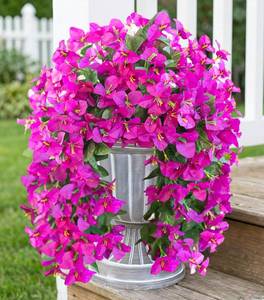 lot 3661 image: 2 PCS Bougainvillea Artificial Hanging Flowers Plants for Outdoors, Purple  Fake Flower, Silk Bougainvillea Vines Realistic, UV Resistant, Faux Flowers for Outdoor Planters Porch Patio