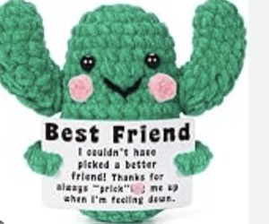 lot 3668 image: Lodeskee Cactus 03-friend