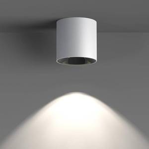 lot 3698 image: JAYMP Modern LED Ceiling Light 4000K Dimmable 24W COB White Surface Mount Cylinder Accent Down Light for Living Room Hallway Laundry Room