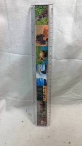 lot 204 image: Yellowstone National Park Ruler