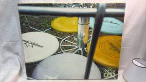 lot 325 image: Dynamic Prints Disc Golf Canvas Print - Unframed 16x20 Canvas