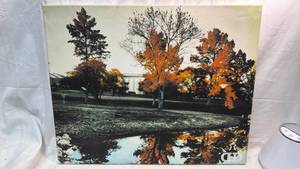 lot 326 image: Dynamic Prints Disc Golf Canvas Print - Unframed 16x20 Canvas