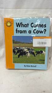 lot 337 image: Sunshine Books Series Collection 19 Paperback Childrens Books