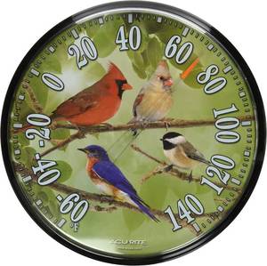 lot 11409 image: AcuRite 01781 12.5-Inch Wall Thermometer, Songbirds no plastic cover