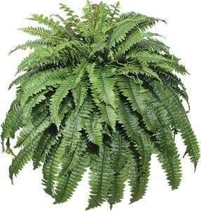lot 221594 image: Large Artificial Fern for Outdoors 100 Branches Fake Ferns Plants