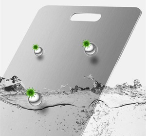 lot 9187250 image: Generic Stainless Steel Cutting Board for Kitchen, 13.5 x 9 Non Toxic Cutting Board Chopping Board for Meat Cheese Bread Vegetable Fruit, Silver