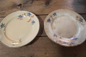 lot 2663 image: Vintage Blue Bird Plates wsome chips