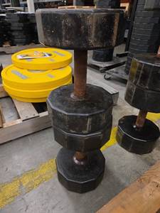 lot 1192 image: Iron Grip 55 lb Dumbbells - Set of 2