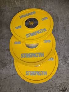 lot 1199 image: Hammer Strength 35 lb Weight Plates - Set of 3