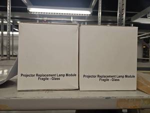 lot 4198 image: 2 - Projector Replacement Lamp Module&nbsp