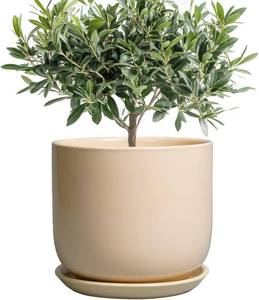 lot 1025 image: Ceramic Planter - Round Modern 8 Inch Plant Pot with Drainage Hole and Saucer for Flowers Herb, Home House Office Room Apartment Decor, Yellow