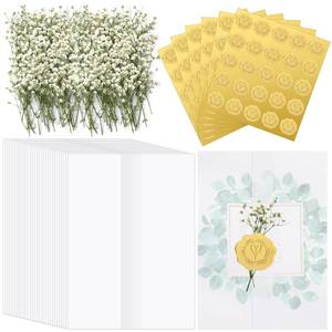 lot 388 image: Fabbay 100 Sets Wedding Invitations Wraps Set Envelope for 5 x 7 Inch Invitations Self Adhesive Gold Wax Seal Sticker Natural Dried Flowers for DIY Photos Cards Baby Shower Party