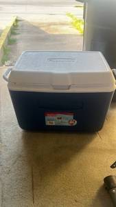 lot 315 image: Blue 48qt Rubbermaid Cooler
