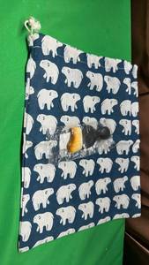 lot 548 image: Polar Bear Pull String Canvas Bag and and a Detailing Brush for Car Vents, Keyboards and other hard to reach places that need a soft touch. - Retail $8