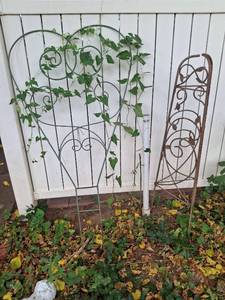 lot 1023 image: Garden Trellis - 2-Piece Set
