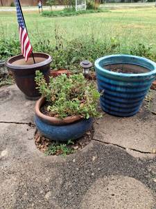 lot 1024 image: 3 Glazed Ceramic Planters
