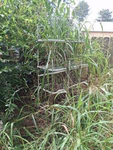 lot 1083 image: Garden Plant Shelf Unit