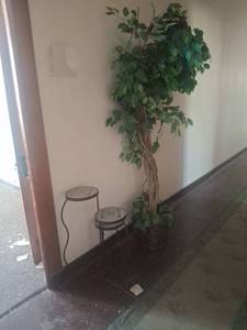 lot 1246 image: 3-Tier Plant Stand and Faux Plant