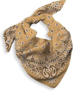 lot 7643 image: Bandana 22x22 in, 100% Cotton, Paisley - Gift Pack Handkerchief 3 Pack