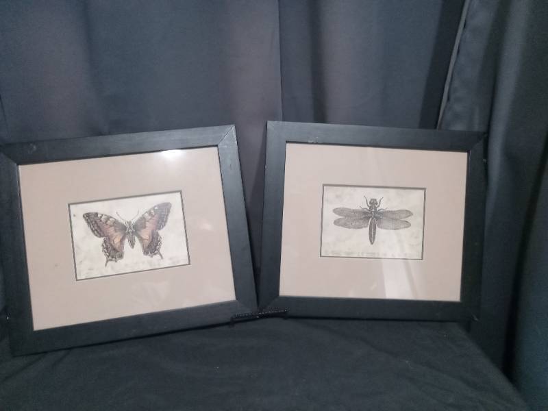 lot 6863 image: Set of 4 Framed Insect Prints Butterfly Dragonfly Black Frames