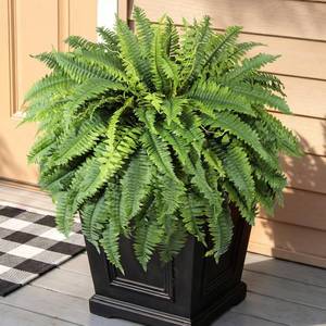 lot 9411 image: Lifewit Artificial Fern Bush with 96 Large Fern Fronds, Realistic