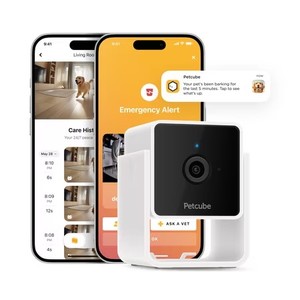 lot 9565 image: $50 Petcube Cam WiFi Pet Camera for Cat & Dog with App