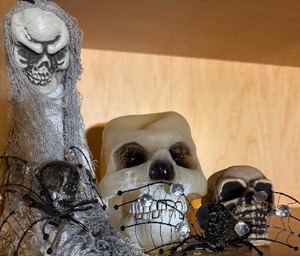 lot 100 image: Skulls  One Glows in The Dark  And Spiders