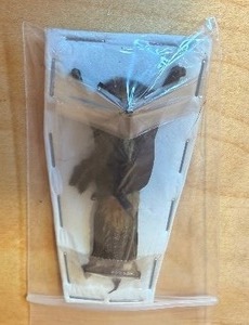 lot 120 image: Bat, Freeze Dried Specimen, Super Cute