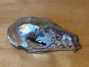 Tiny Bat Skull, Silver-Toned