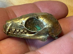 lot 124 image: Tiny Bat Skull, Gold-Toned