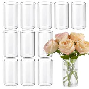 lot 11842 image: TBWIND 12pcs 6 Inch Clear Glass Cylinder Vases for Centerpieces