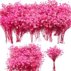 lot 12024 image: 4700 Mini Dried Babys Breath Flowers Bulk, Bright Pink