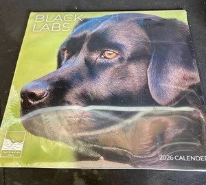 lot 12109 image: Black Labs 2026 Calendar