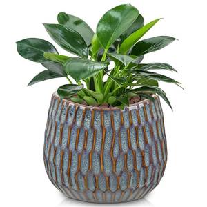 lot 13580 image: Oairse Small Ceramic Pots for Plants, 4.9 inch Blue Plant Pot Indoor with Drainage Ceramic Planters for Indoor Plants Succulent Planters Decorative Flower Pots for Cactus, Snake Plant, Herb