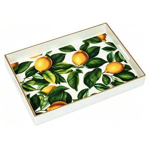 lot 13619 image: Serving Tray with Handles, Large 15.7 x 11.8 x 1.6 inch Plastic Coffee Table Tray, Modern Rectangular Portable Food Fruit Server with Storage for Home Decor, Kitchen, Bedroom, Party