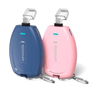 lot 20444 image: HUAENG (2-Pack USB C Keychain Portable Charger, 1600mAh Mini Power Bank Ultra-Compact Battery Pack Power Emergency pod for iPhone 171615  Android Type-C Phones Samsung, Pixel, Moto etc-PinkandBlue (PINK MISSING)
