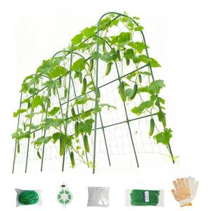 lot 1657 image: TIUIRE Cucumber Trellis for Raised Beds & Gardens - Sturdy Arch Trellis for Climbing Plants, Tomatoes, Peas & & Beans  Outdoor Vegetable Support for Vines (63 Lx30 W x47.2 H)