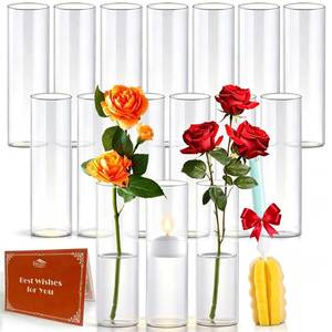 lot 7459 image: 16Pcs Glass Cylinder Bud Vases for Centerpieces,7.7 In Tall Clear Flower Vases in Bulk,Glass Small Vases Floating Candle Holder for Party,Home Decor,Wedding Decoration,Birthday,Anniversary,Baby Shower